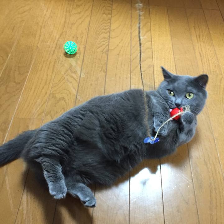 A9a2bca3 716f 489c 8193 537760e225f8