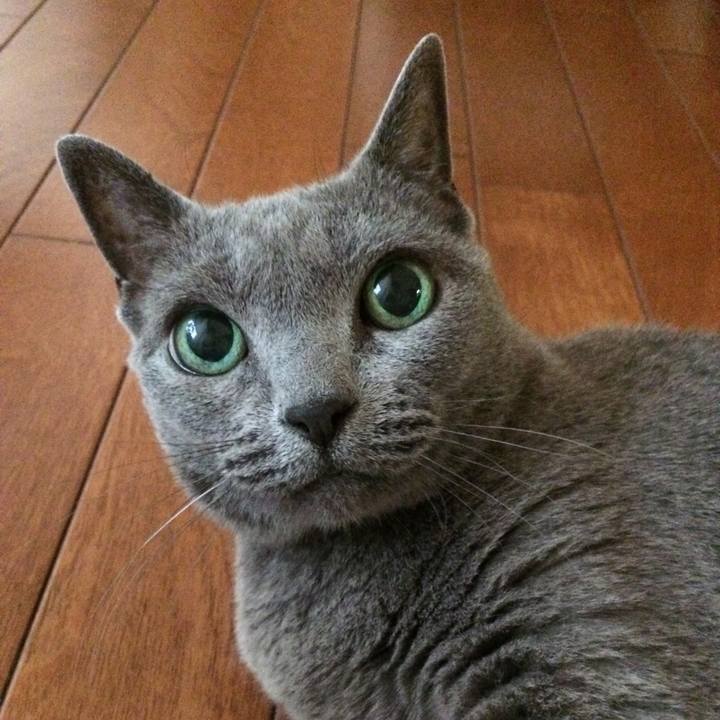 A9a3c145 03ac 402d 9684 f4830da7745c