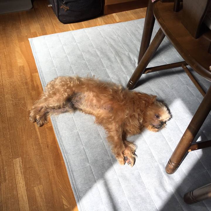 A9a4d6f4 0c02 45db 9a69 6dcb35e812fb