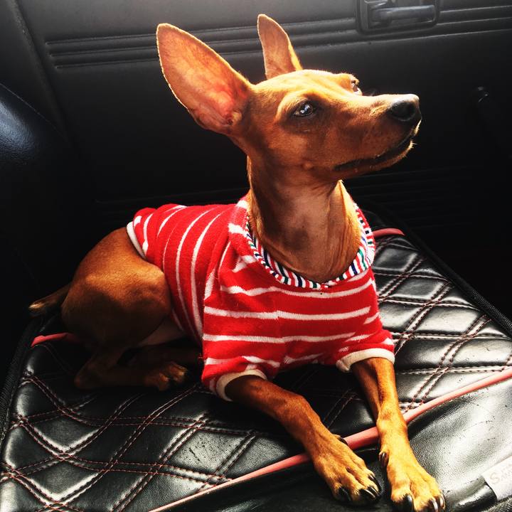 A9a5546d de1c 42eb 8fc7 a609107403bc