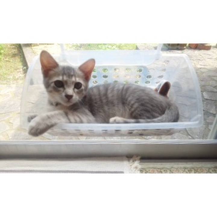 A9a686ee 8036 4984 9540 aab7c810a887