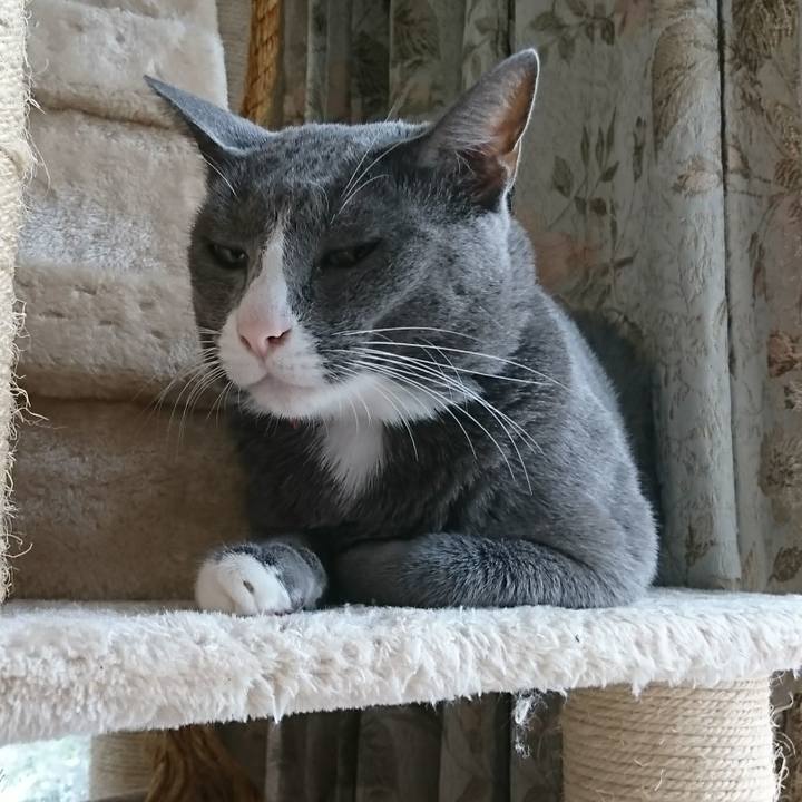 A9a709e4 74ae 4dc8 bdaf e4b2ef1f096a