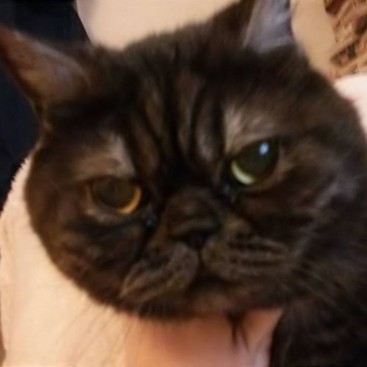 A9a71c66 9442 4a1d a433 2acd42f5d4a6