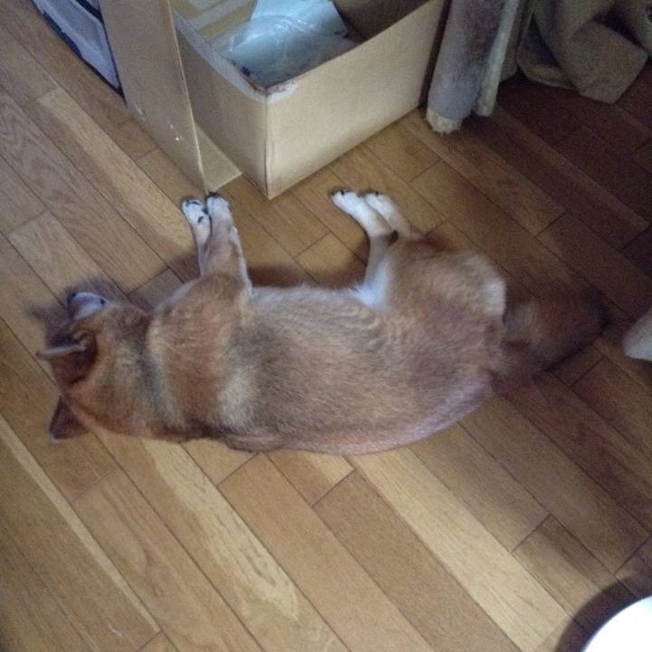 A9a73ae5 1f92 4e29 b302 1b532fa8e0da