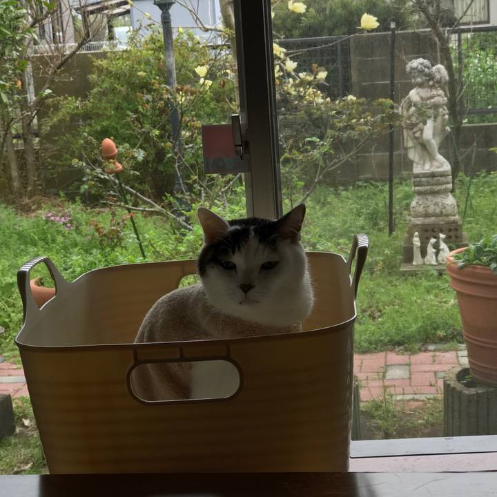 A9a76766 14d3 4355 9247 658bd2ff31a3