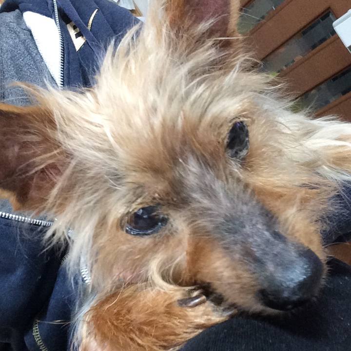 A9a77014 425e 4770 ade4 a080699b0d4a