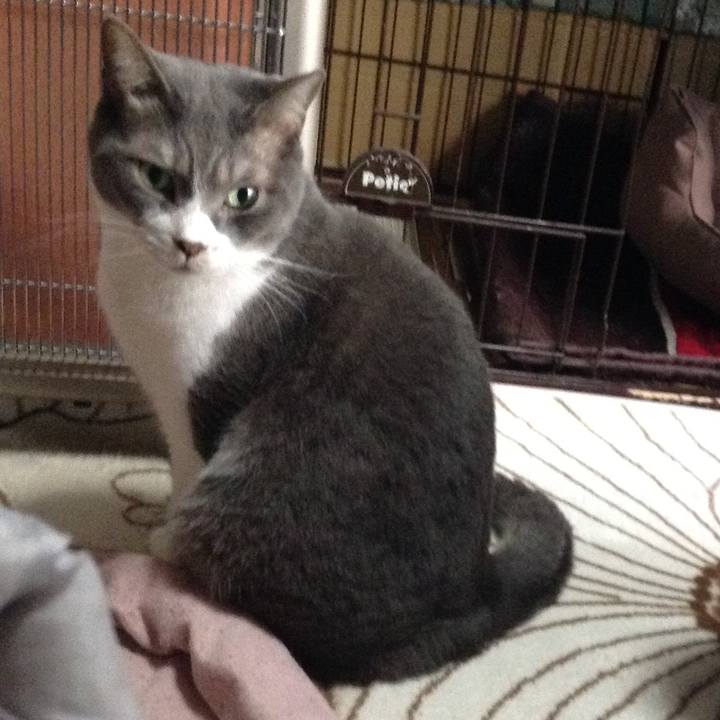 A9a8ccbf e2b6 4b80 87fb 9719ca7af8cf