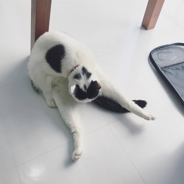 A9a92783 b254 4198 966f 5c9573cb50de