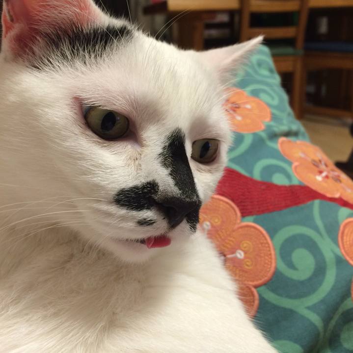 A9a9efea a135 49ce b175 b59a579f499e