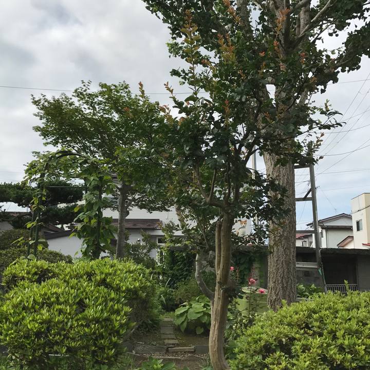 A9aa3f96 7cd2 42ab 8104 69cf25f9279f