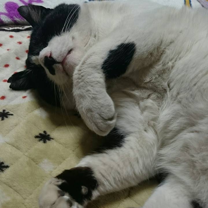 A9aad0fa d5f7 401b 96cc 2d3ce29e4cf6