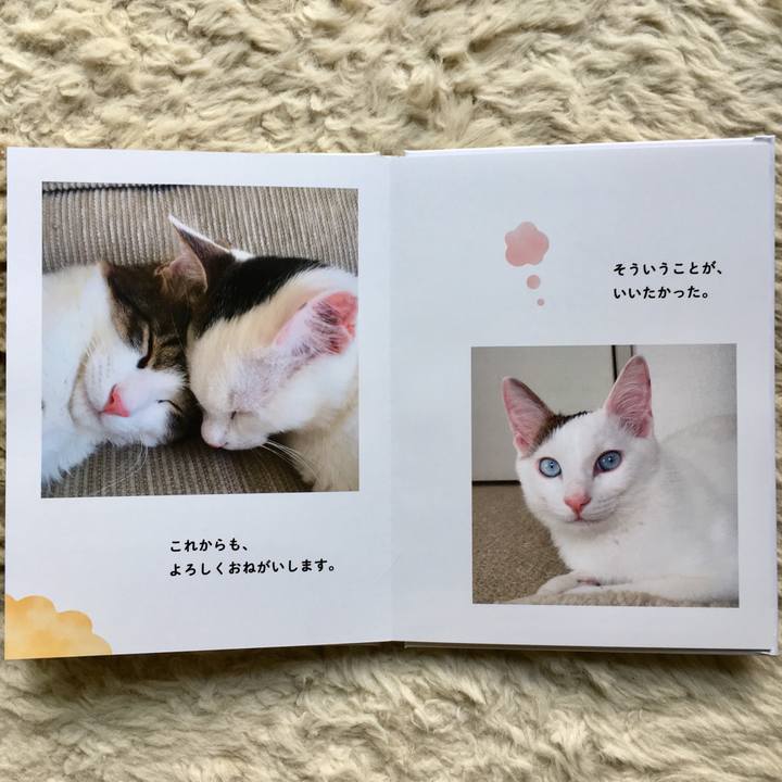 A9aada42 b991 4baa 815a 095c00b2890a