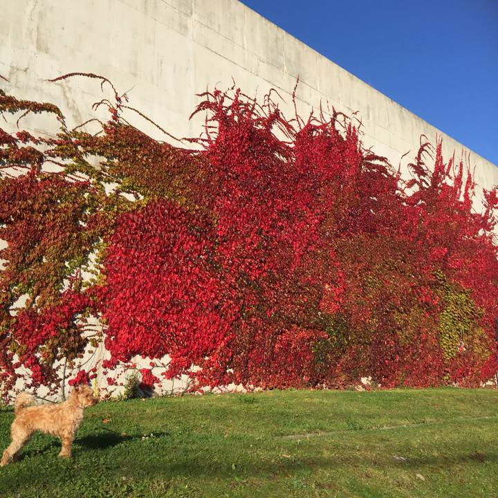 A9ab5599 ef88 49fc 8bc8 49a664ff7b93