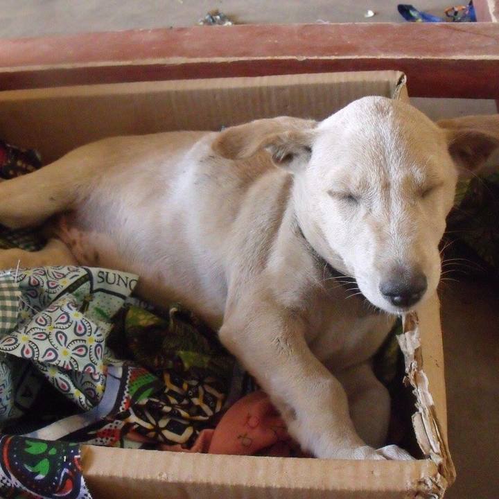 A9ad3072 f64c 4163 b1fd fb52913e9a5b