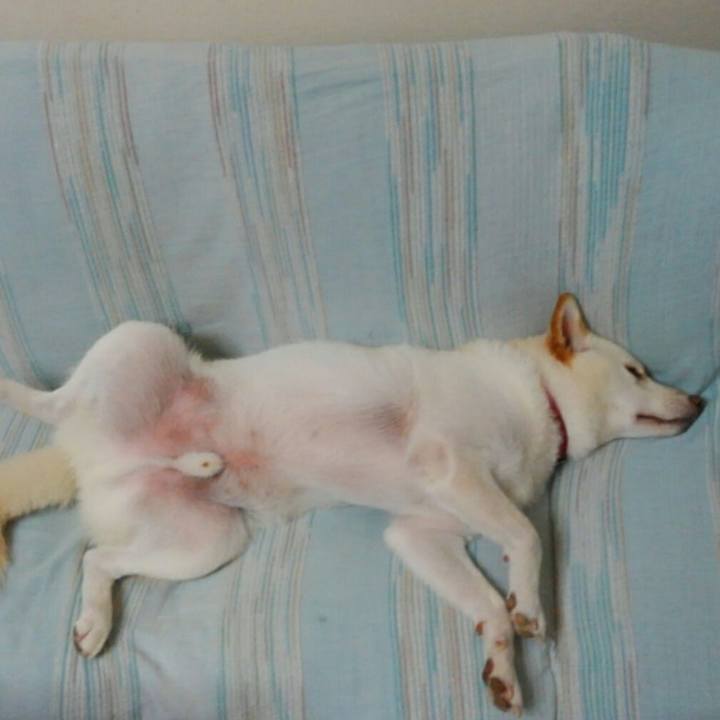 A9adbae1 0b11 4a39 8396 c9a5cfe513e1