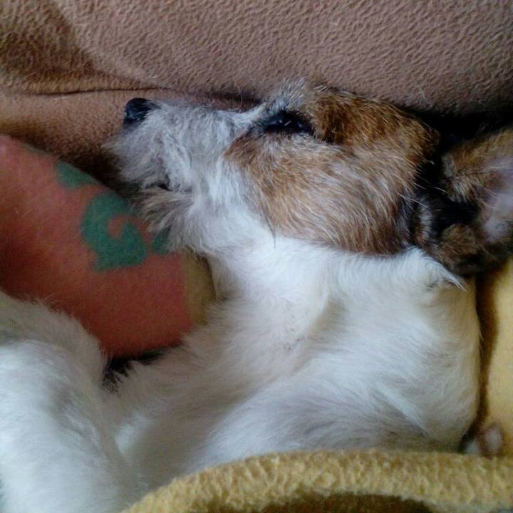 A9adc3eb 90b9 4cd4 a50f bd3b533b306a