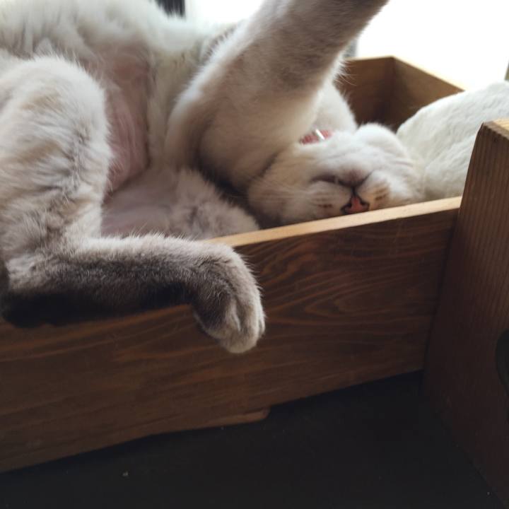 A9ae11f5 97b1 4855 a187 6305c9d8ad82