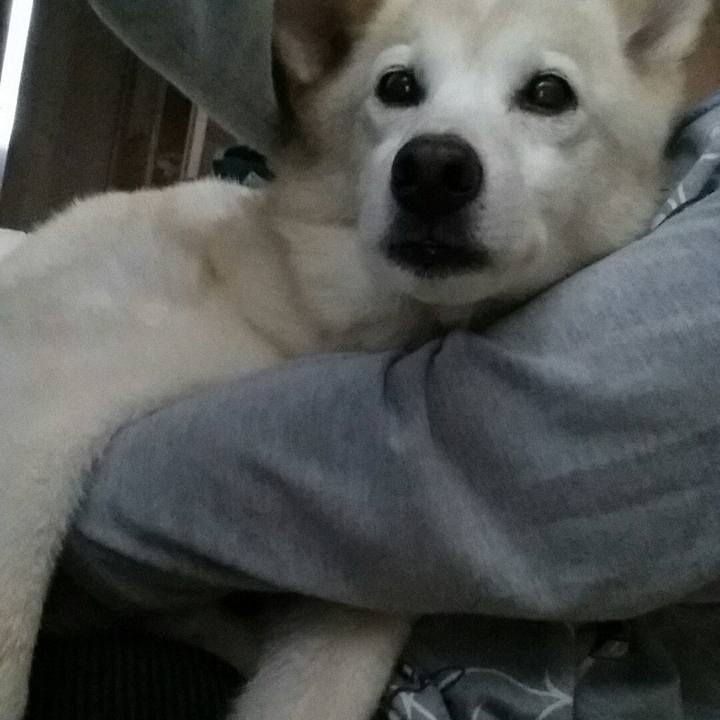 A9ae1555 e265 4e90 9ce8 5c2fbca2b28f