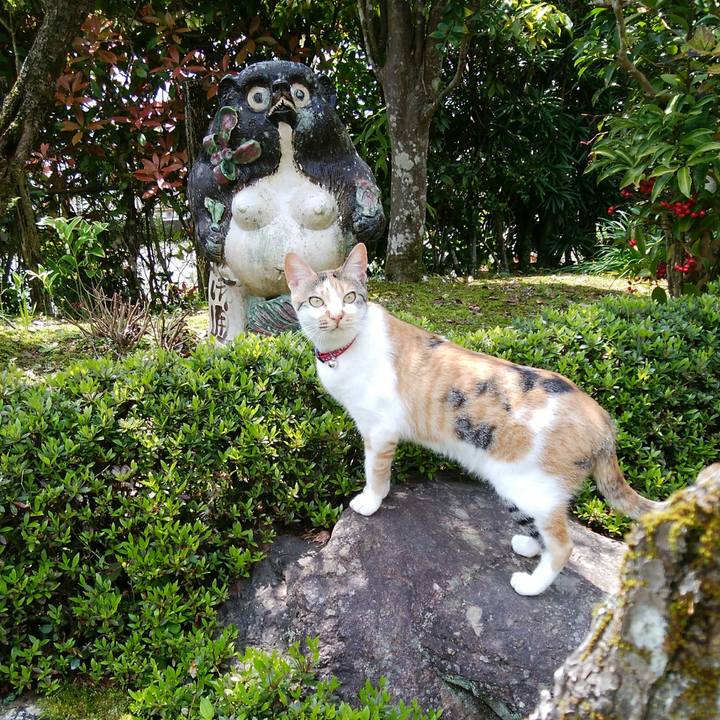 A9af390f beb9 4c45 93b7 054548433586