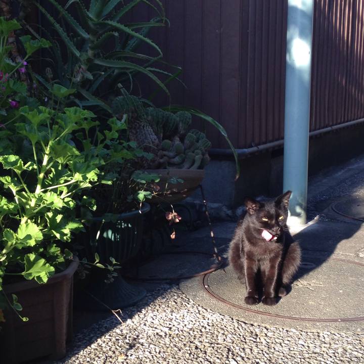 A9af42fc 9a7c 4ed4 9e9d 6ec1641263fc