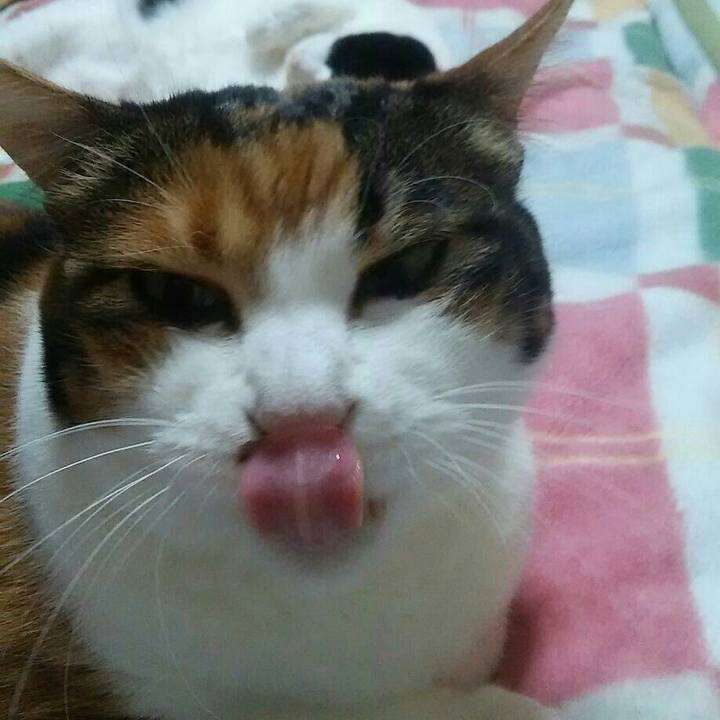 A9af9cc3 8412 4700 a9b0 c72b62d5e24c