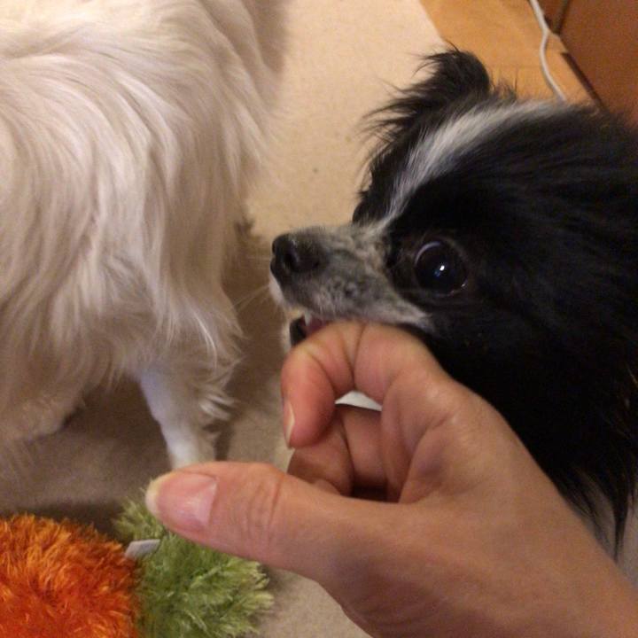 A9b0cfff e226 49c8 9f0c 10fe7437bb4a