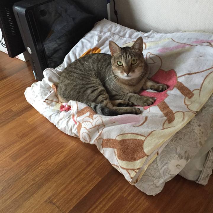 A9b1caf2 3e18 45dc 8e20 4a6b4a1020e1