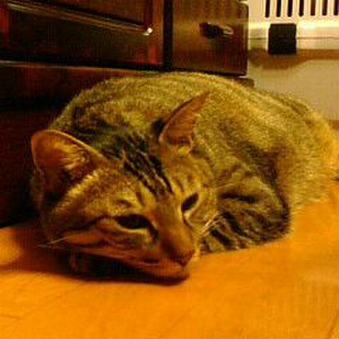 A9b2c148 bd54 4aca b9a6 20d6d112db10