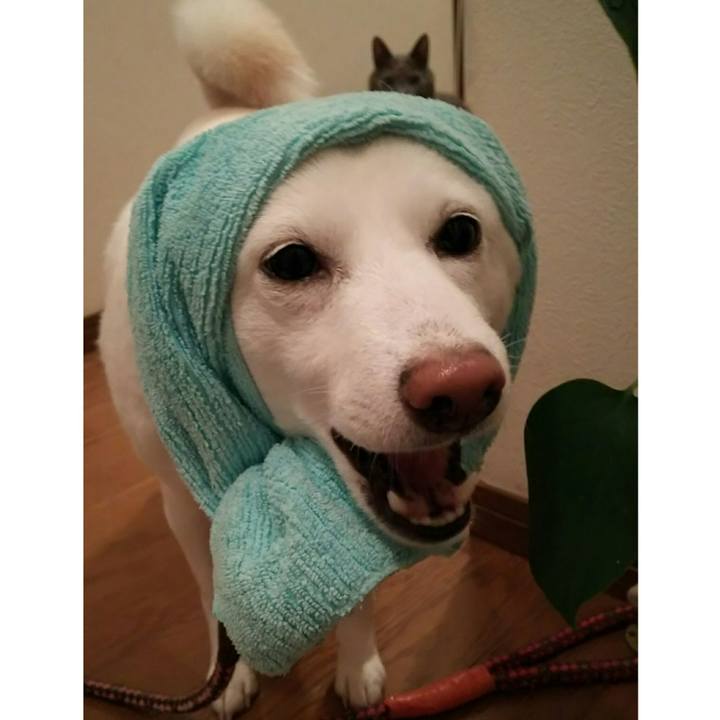 A9b35ca6 9913 49c4 8bd6 5f8f503c0fa9