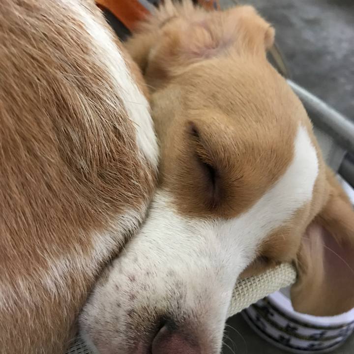 A9b40266 ad72 4d1f 9d6e 3ecbde105af4