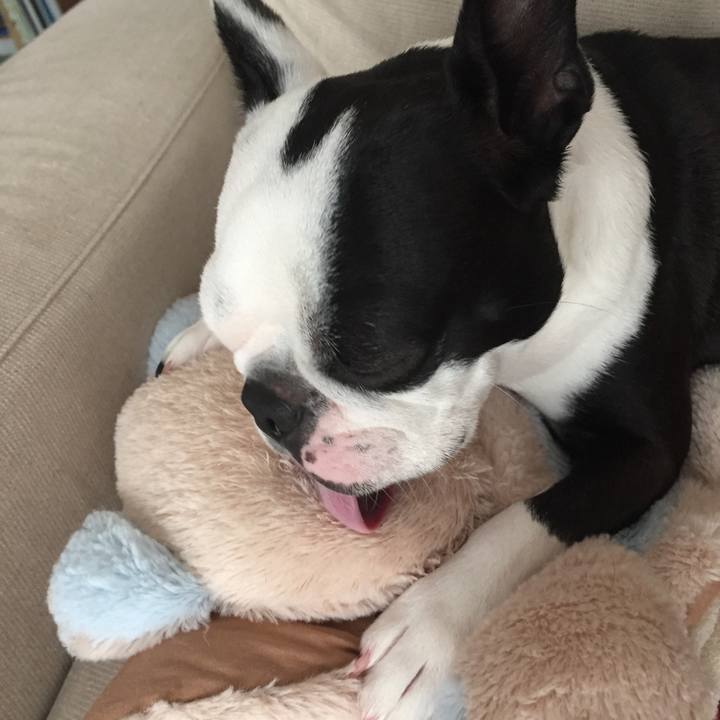 A9b425d3 220c 4bb3 8f9b c347f21854ff