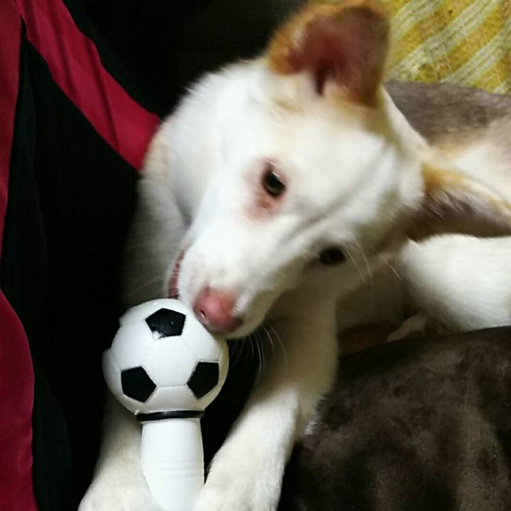 A9b4286e f66e 4117 aa10 23a45785339d