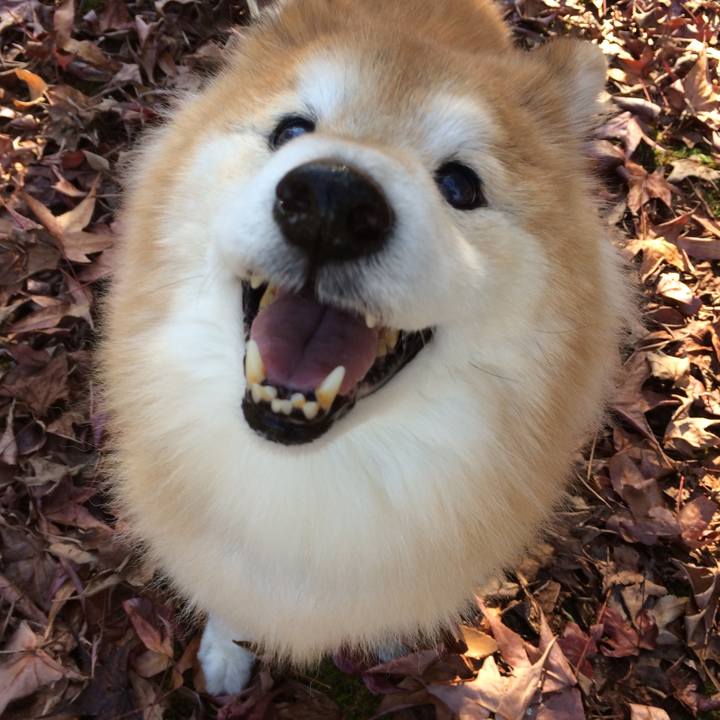 A9b45067 bc95 40f5 8009 26e2e55dea6b