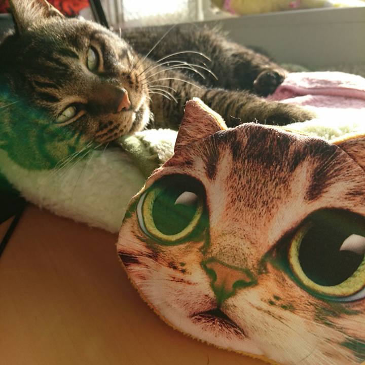 A9b4cd2a 7ecd 4f17 9ca3 cdfe232dde2b