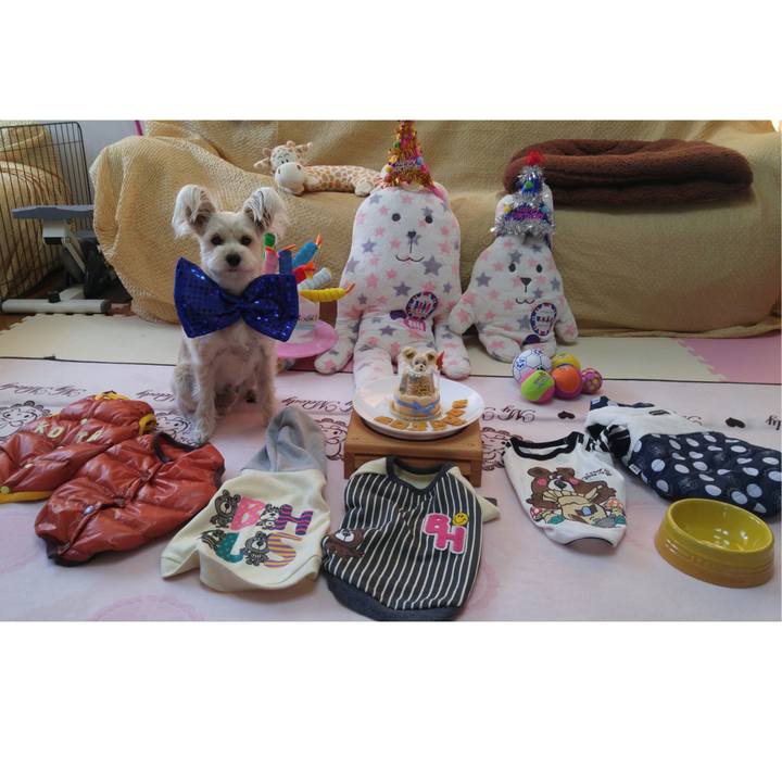 A9b51fa1 a0c9 4e39 9fe2 0dbdad62bcfd