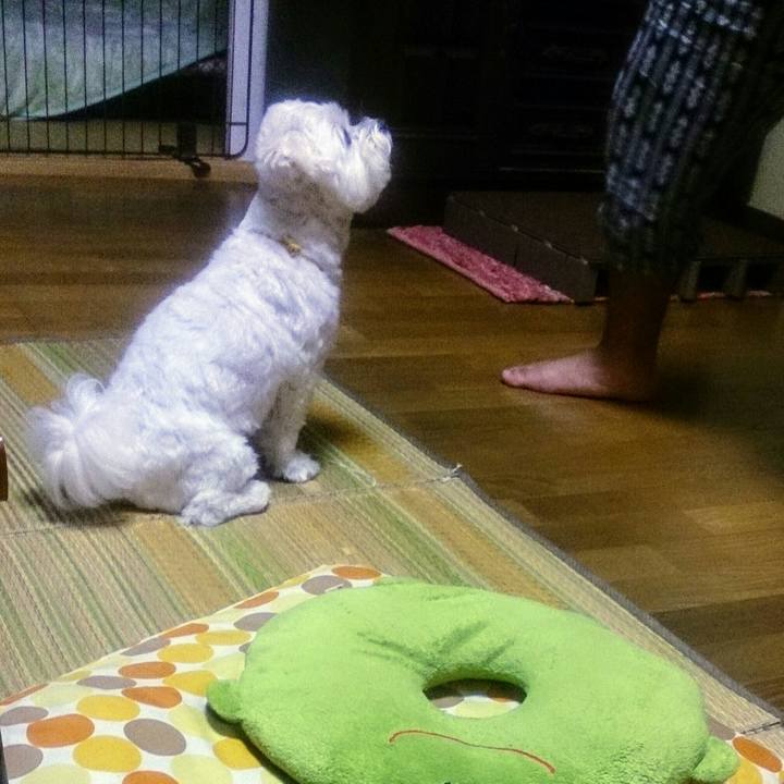 A9b579f0 3d42 4533 885d b0ff11a460d6