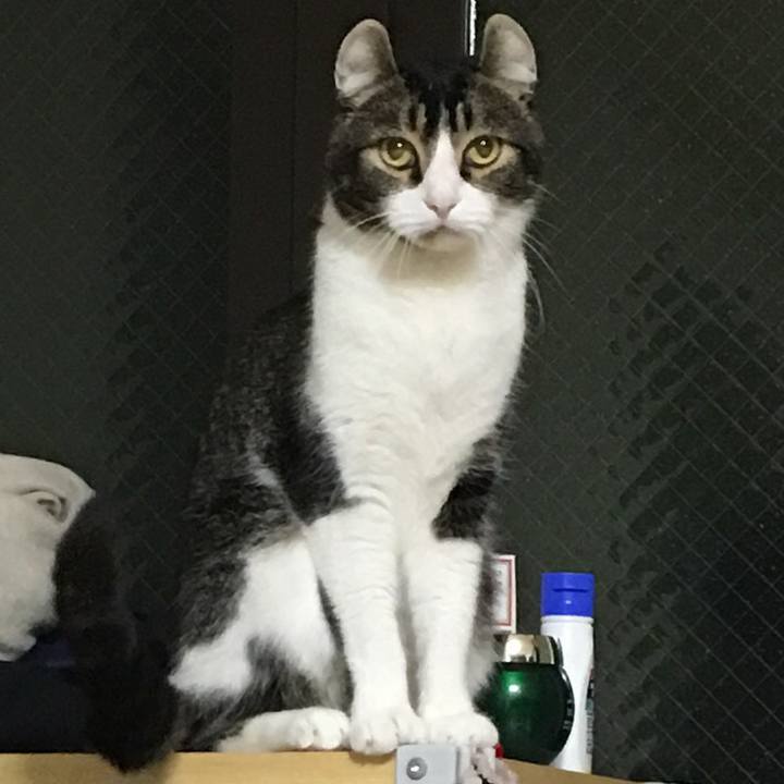 A9b60b09 1620 4bf8 965d d6402a8d5379