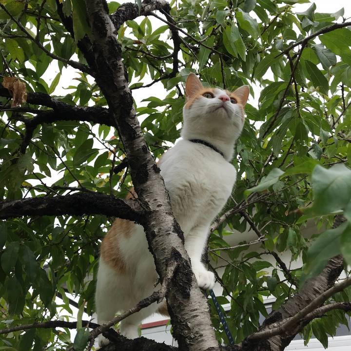 A9b663e9 5fa0 41a7 ba5a f1b086e01ea4