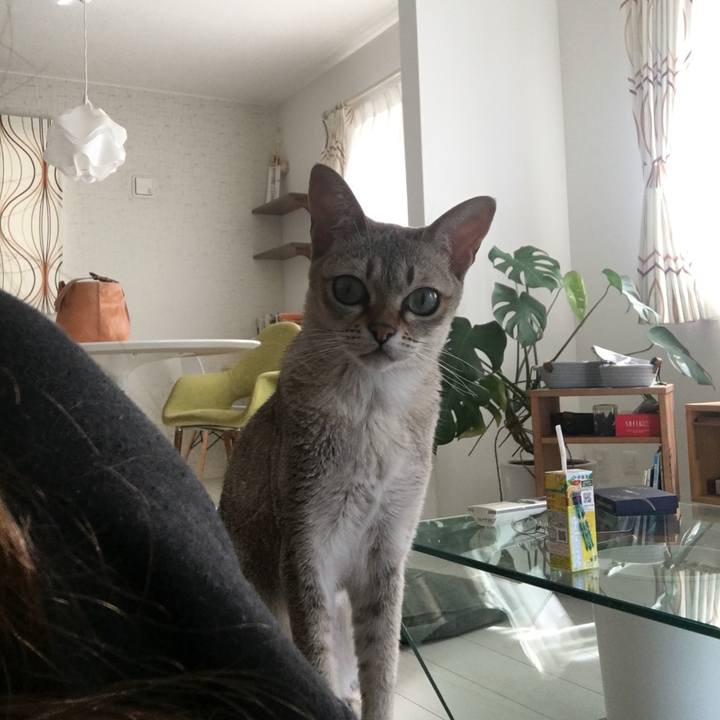 A9b66b24 2d21 4418 bab0 e64693190475