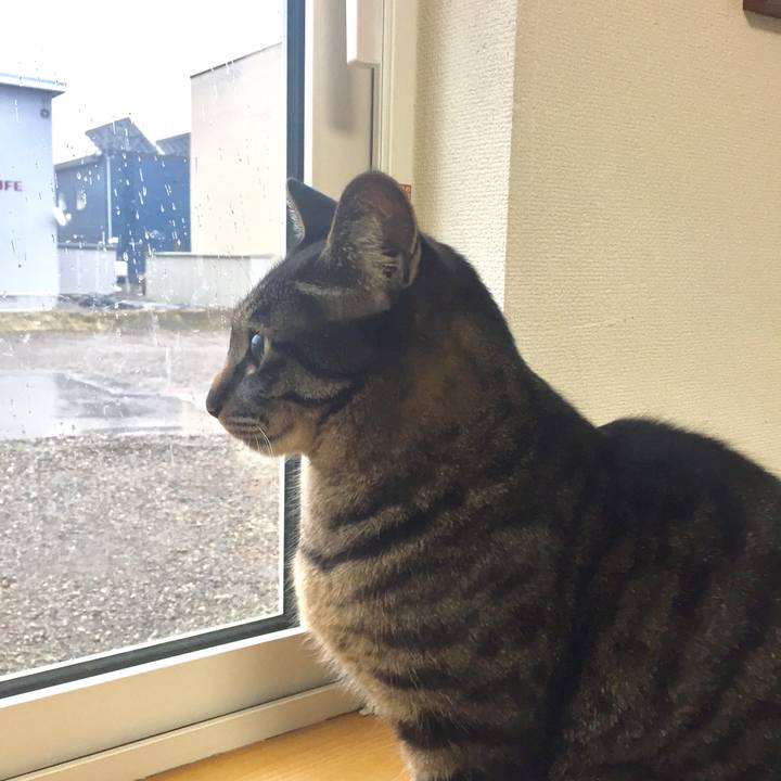 A9b6c263 d263 4553 a312 15a61df15b09