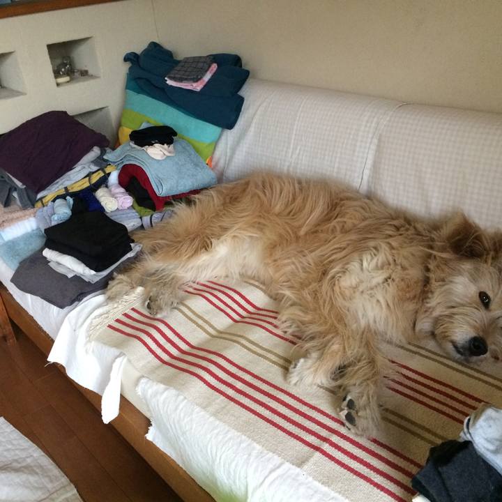 A9b6e598 2bcf 4f15 a0c7 a3b02168df46