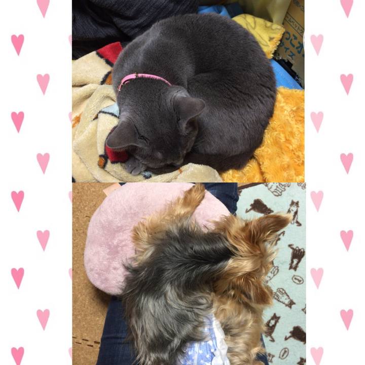 A9b72b81 571f 464a a571 f26c06ee03be