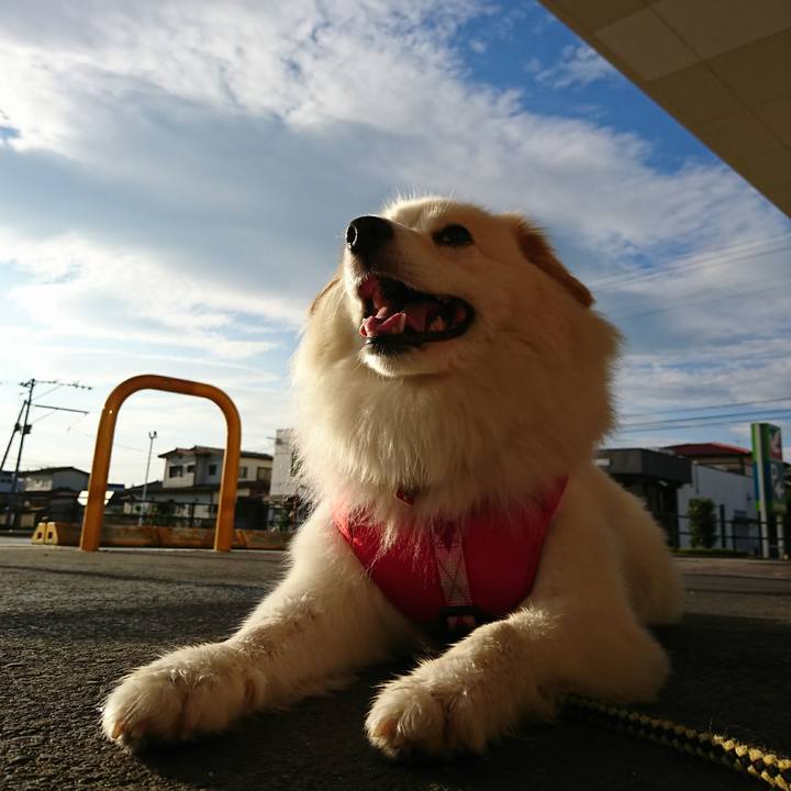 A9b72c2e 5f98 4240 b2b6 242848a14d73