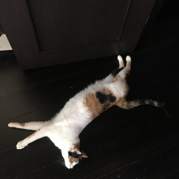 A9b79211 8b30 4ec8 b2f6 985fdc04bc11