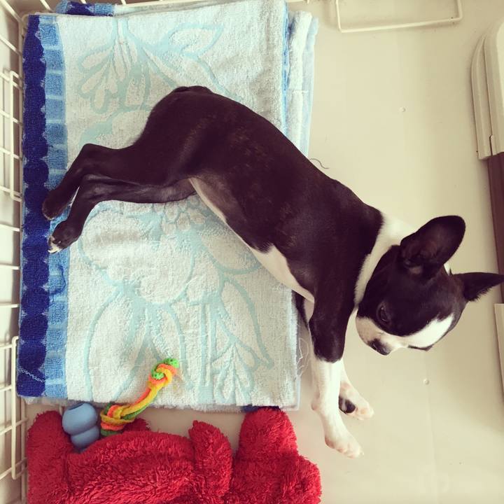 A9b7fe63 7b65 4afc ba90 b0f63307ed4e