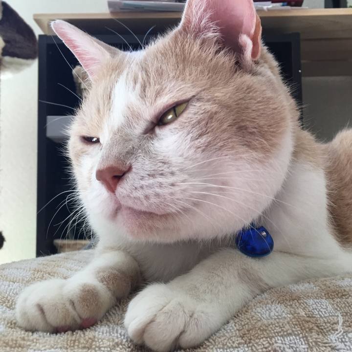 A9b80720 609a 444c 9432 e62ccff345e3