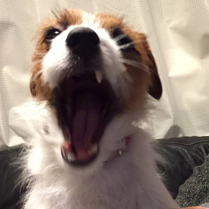 A9b880d9 c0a6 4bc0 9802 10e3375a6d20