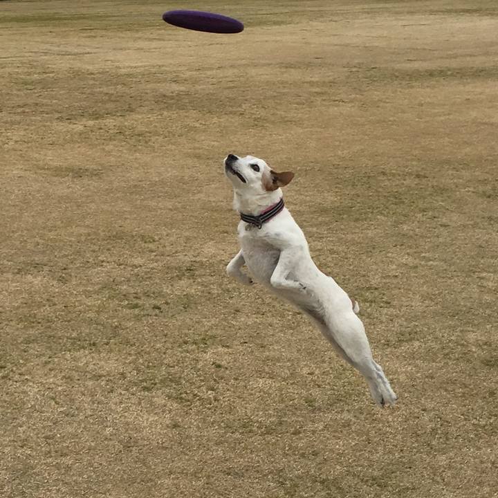 A9b8a8bf f81d 4112 b67c 678ffdd5fe7b