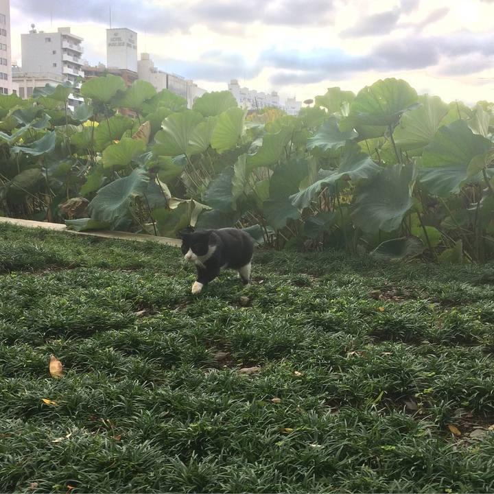 A9b8a8fc b70e 4914 a850 89c88363b4bf