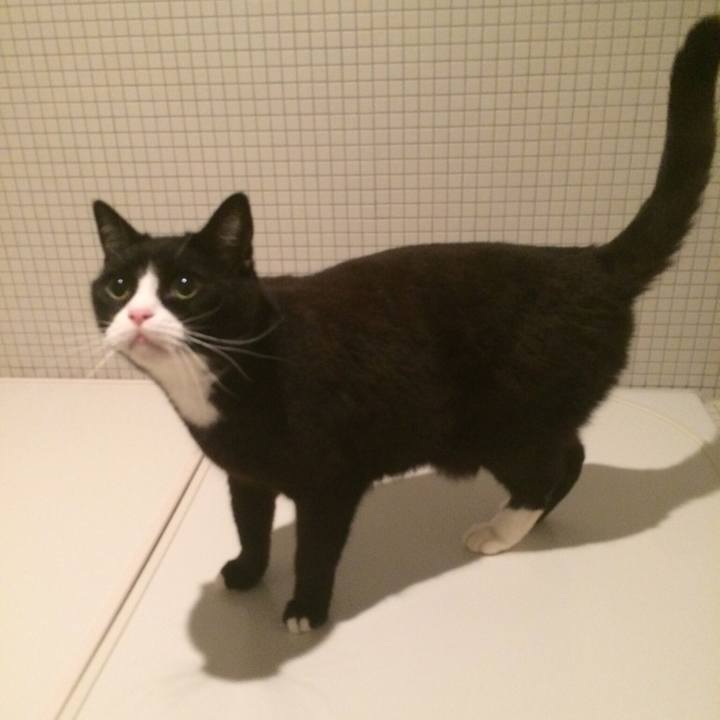 A9b902c7 bcd1 412c ada8 72ead346a33c